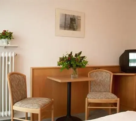 Schatzberger 바트푸징