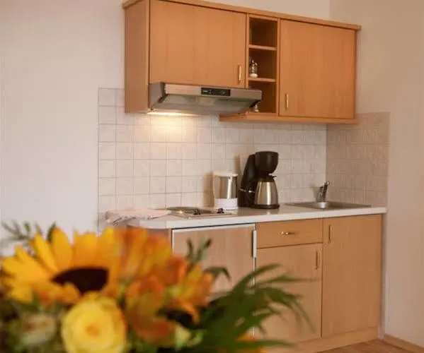 Schatzberger Hotel 3*