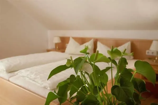 Hotel Schatzberger